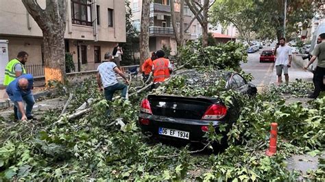 Ankarada rüzgar etkisini gösterdi Ağaç devrildi yol trafiğe kapandı